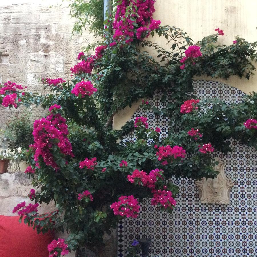 Le Clos Du Rempart Bed & Breakfast Avignon